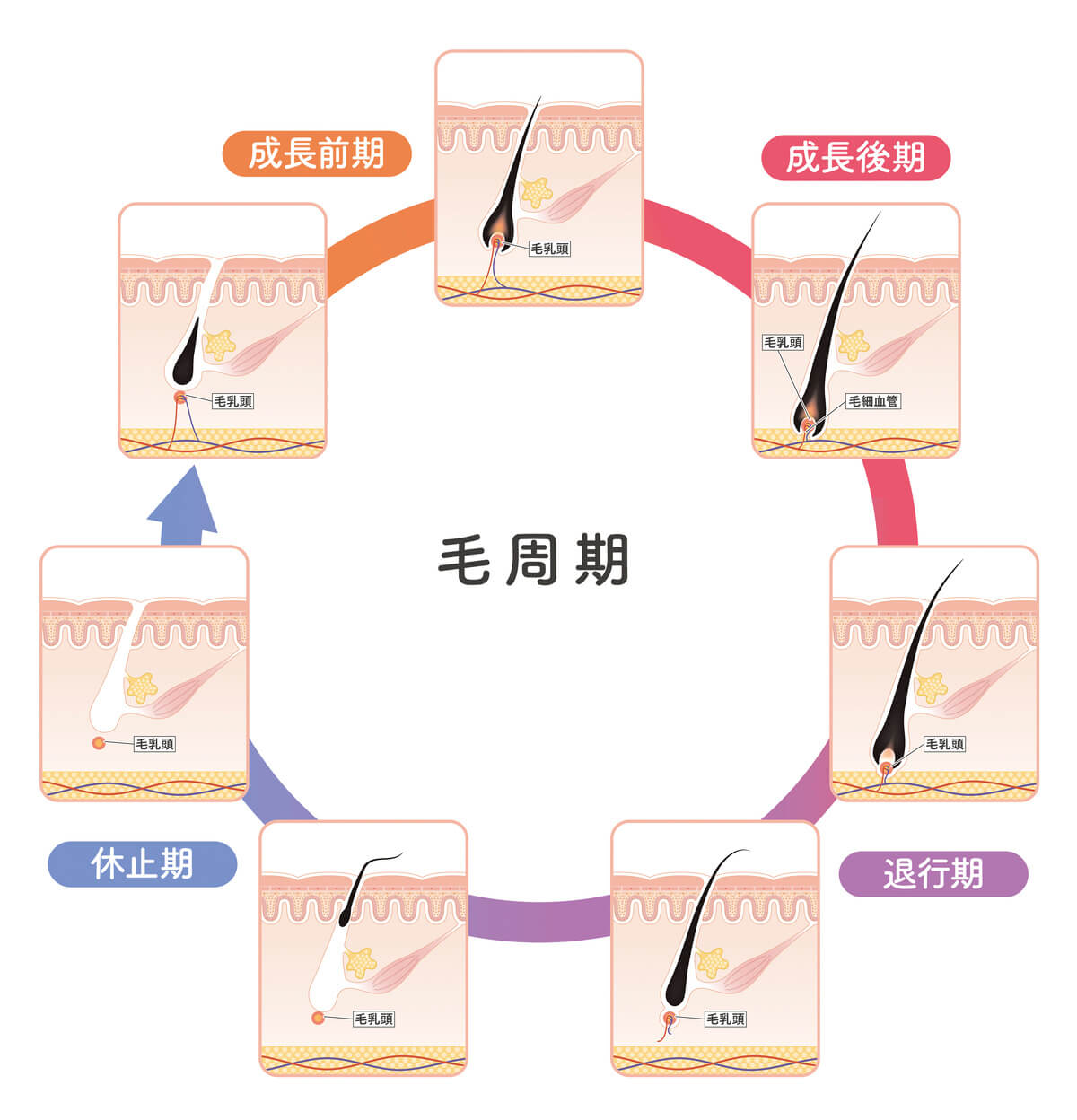 抜毛症の改善方法と体験談