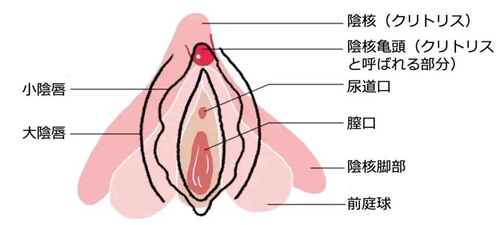 すごいトイレのはなし 1万以上の便器をみがきつづけて。 -