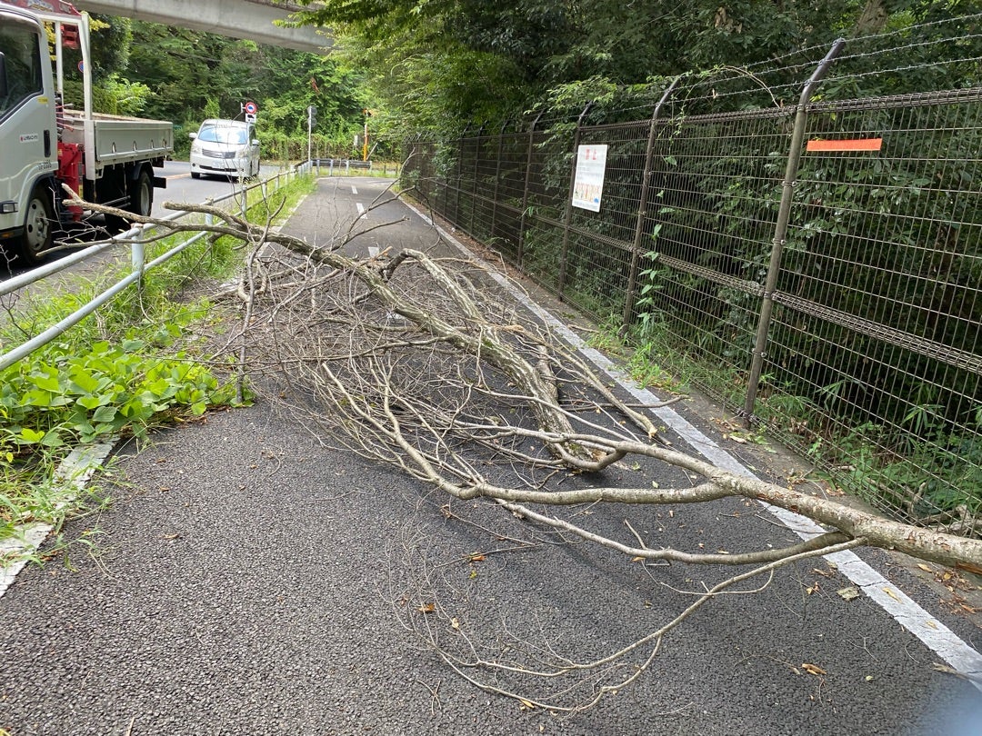 多摩湖廃ラブホ巡り1:もはや窓のないラブホ | 黄昏の田中～廃墟探索記～