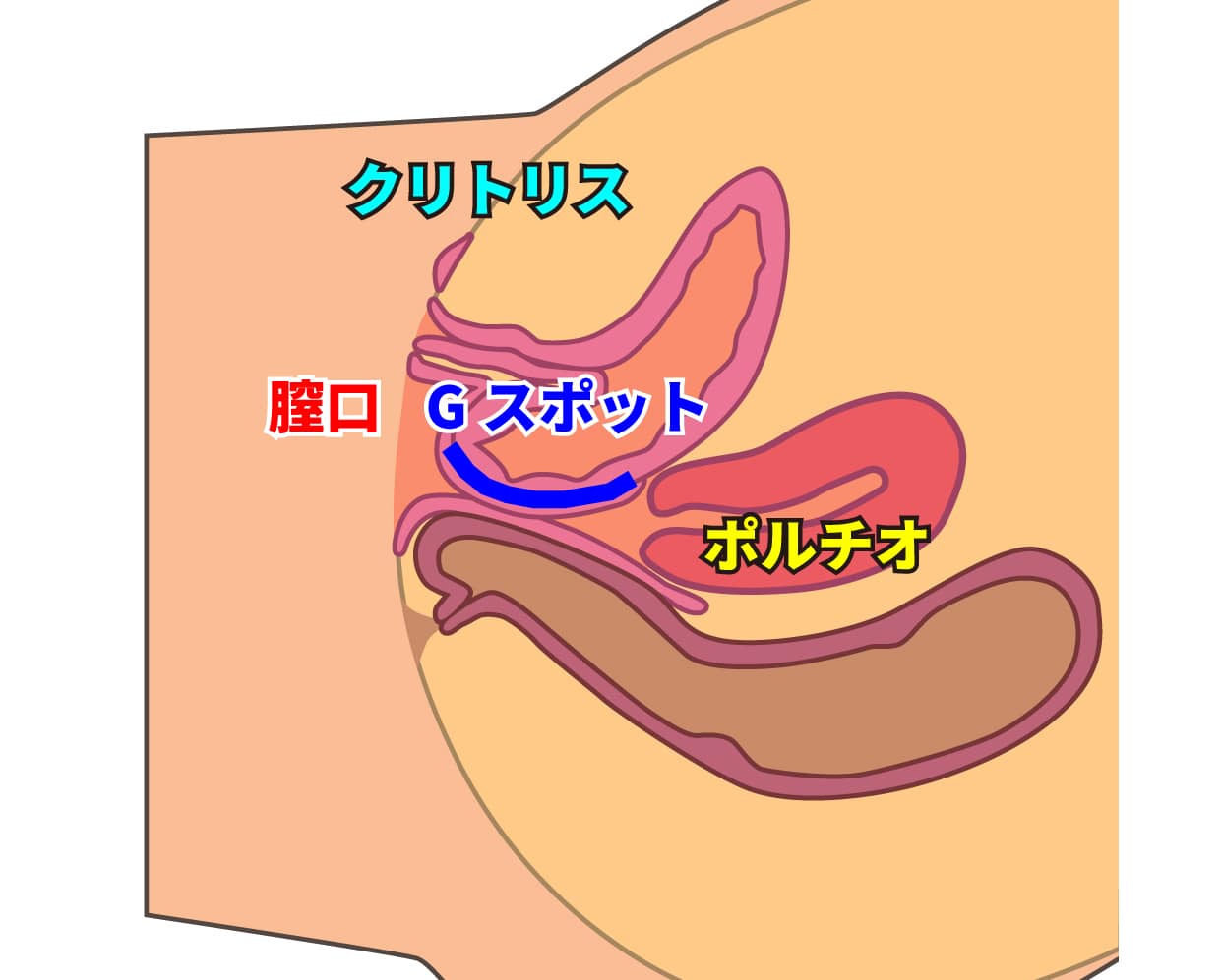 Amazon.co.jp: 女性用 膣マッサージ バイブ