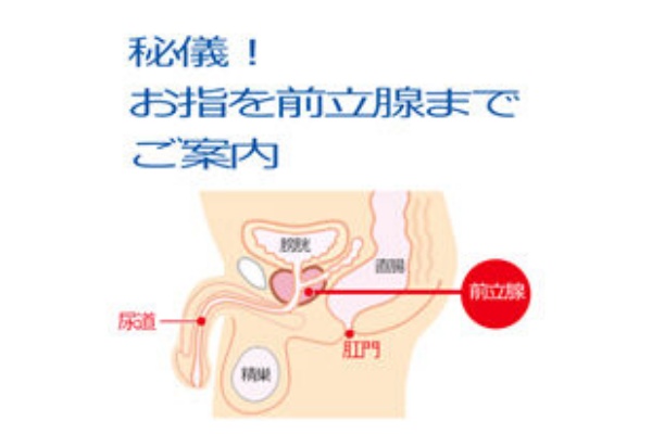 ドライオーガズムって何？誰でもできる前立腺マッサージのやり方 - ももジョブブログ