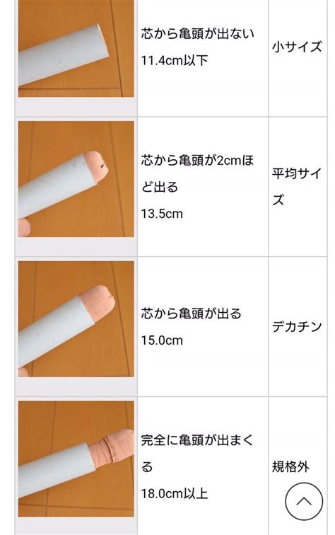 日本人の勃起時チン長は12cm弱！研究基づいたペニスの正確な長さ – メンズ形成外科