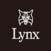 LYNX リンクス USA TOUR メンズゴルフクラブ11本セット