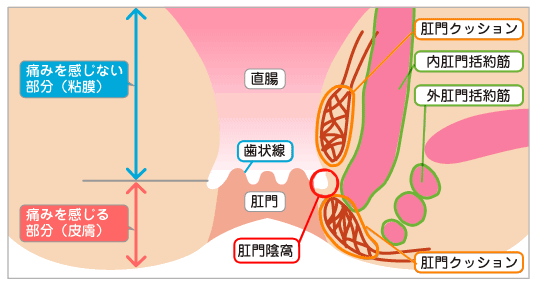 悪かった！『ケツの穴の小さい奴』と言ったことは謝るから早く出してくれ！今度から『ケツの穴のデカい奴』って言うから！ | 