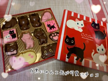 C.C.キャッツ バレンタイン2023】キュートな猫のチョコギフト缶がめっちゃ可愛い〜♡ | HAPPY