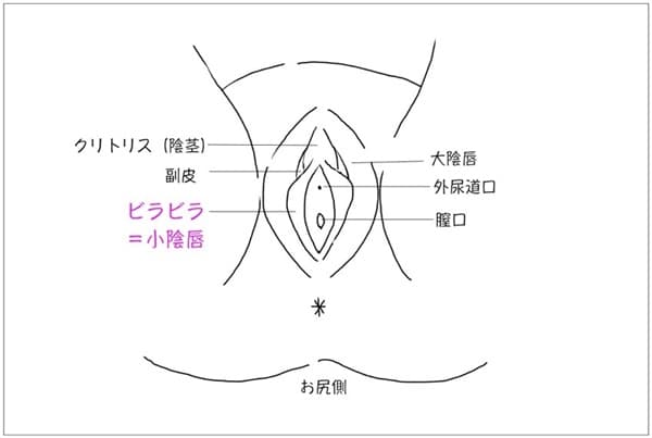 こんな清楚？な感じの女子のアソコがビラビラ真っ黒やりまんこでちたｗ | 素人コレクション