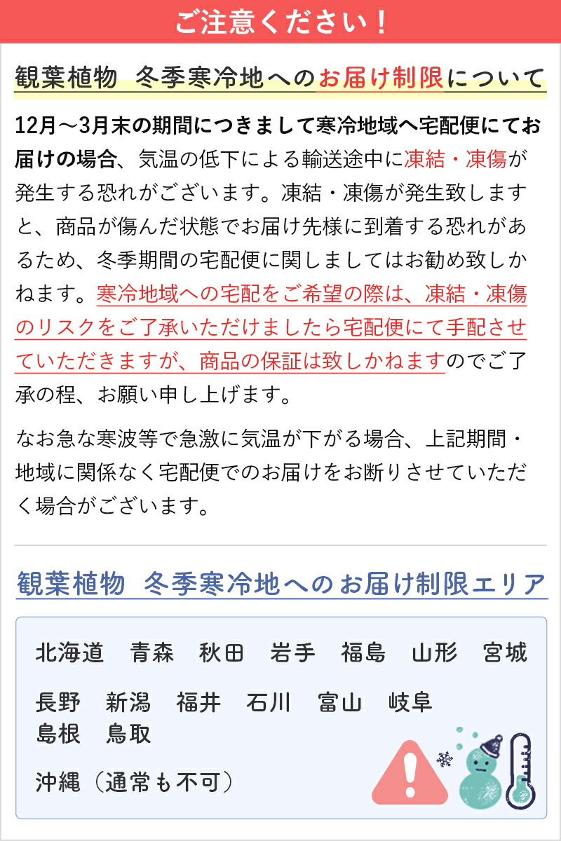 株式会社オーガスタアトラス 派遣事業の派遣の求人情報｜バイトルで仕事探し(No.136623163)