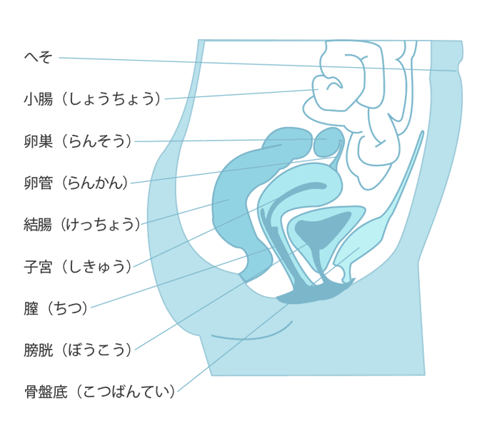 いつも楽しく拝見しています！ アナルや結腸姦は描かれないでしょうか？ |