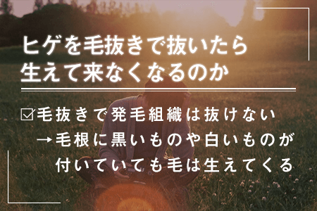 脱毛のプロが語る ここだ毛の裏話 第４回 知っておきたい毛の一生 -