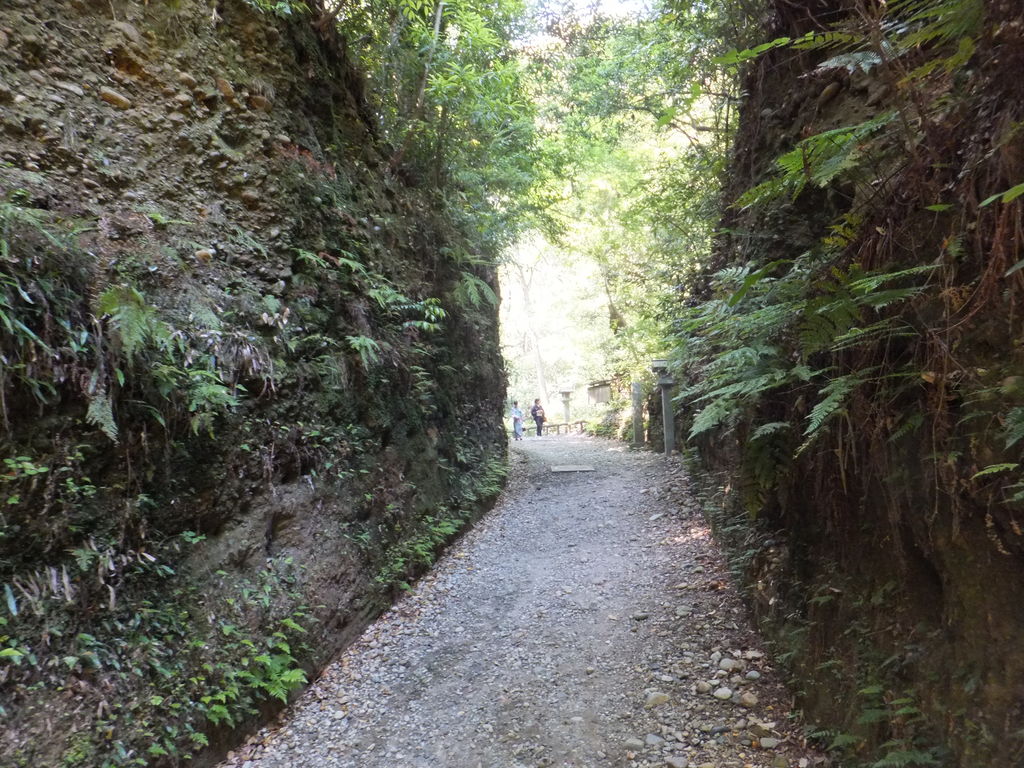 複雑な運用だった法多線(愛野・菩提系統) | 超快速やまやのブログ