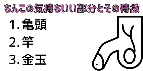 クリトリスの場所はどこ？構造・役割と快感を感じるためのいじり方 | Ray(レイ)