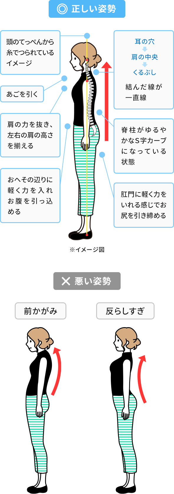 楽天市場】レビュー特典付き エスフック Sサイズ 3個入 Lサイズ