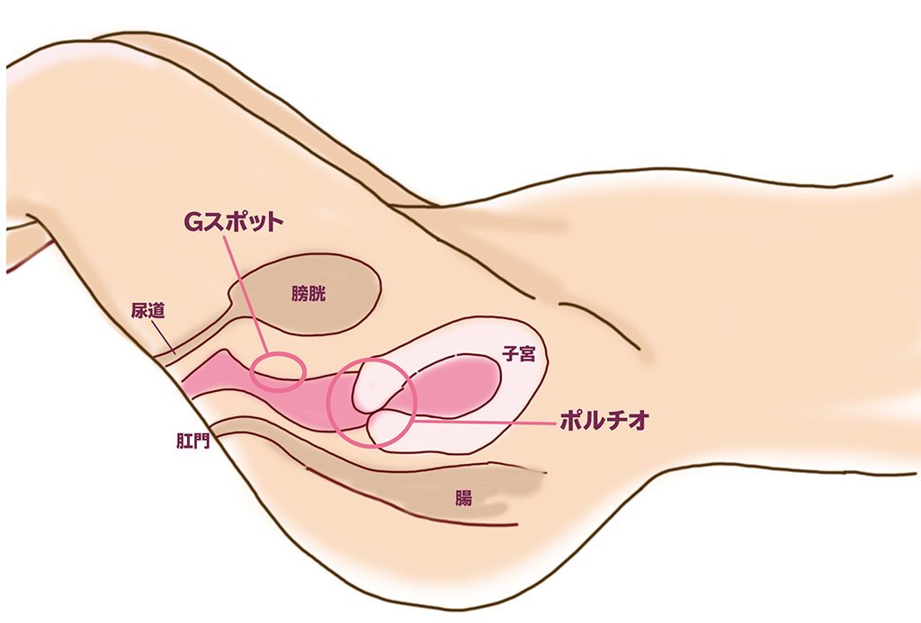 奥が好きな方必見！】ポルチオバイブ特集！