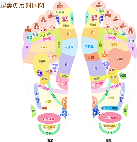 台湾式・タイ式・英国式マッサージそれぞれの違い・特徴｜osaka_refle_info