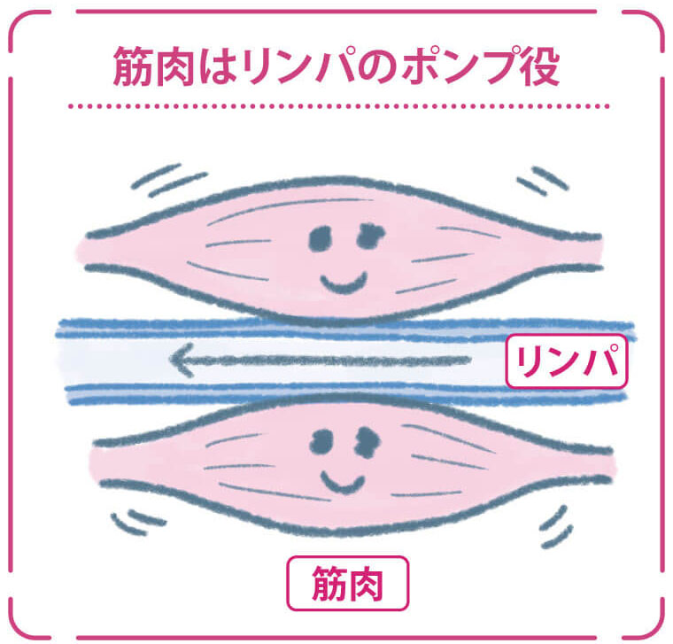 男性編】体脂肪率7%~40%の見た目！腹筋が割れるのは〇%以下！？ - 最高のパーソナルトレーナーが見つかるインタビューメディア【ファインドトレーナー】