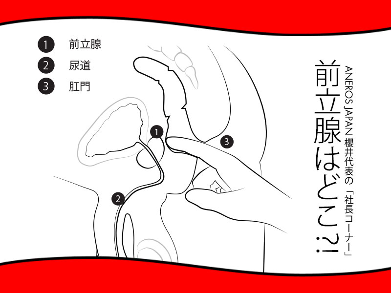 ドS嬢の直伝！イケるアナニーのやり方とコツを紹介！【初心者向け】 - エムオグラシ