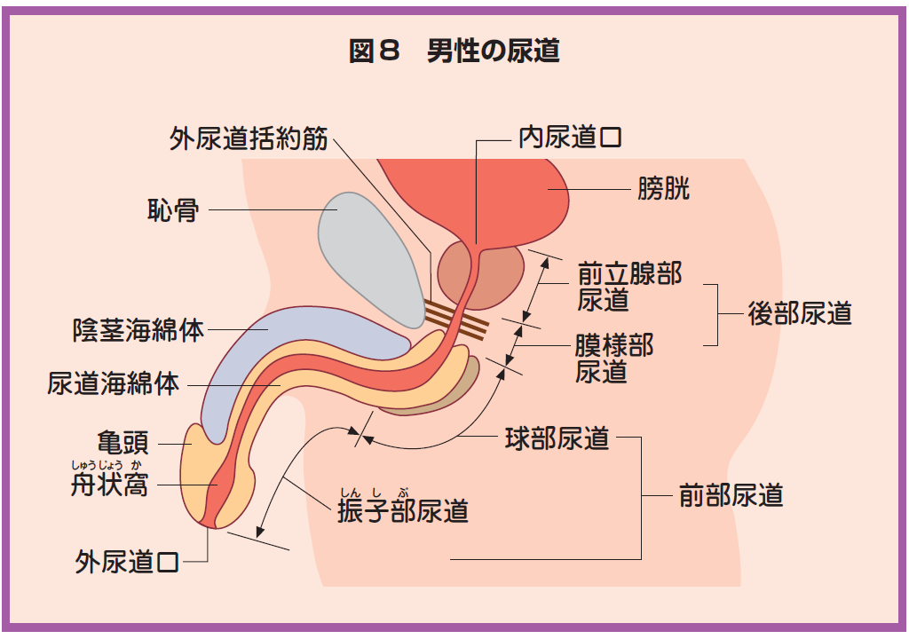 入浴、外出…実はカラダに負担をかけている「リフレッシュ法」5つのNG