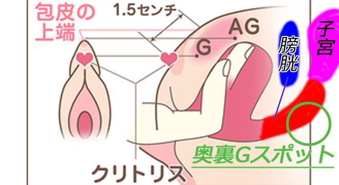 男のGスポット射精で女性の膣イキ体験！快感は普段の100倍？-新着情報-変態紳士倶楽部福岡店(博多・中州/デリヘル) | アサ芸風俗