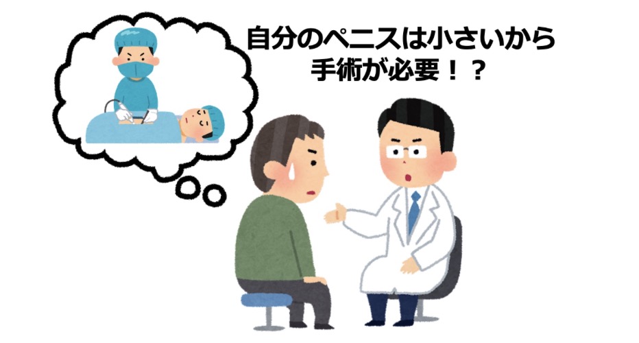 デブのちんこが小さい理由とは？デブでもちんこを大きくする方法を解説 - メンズラボ