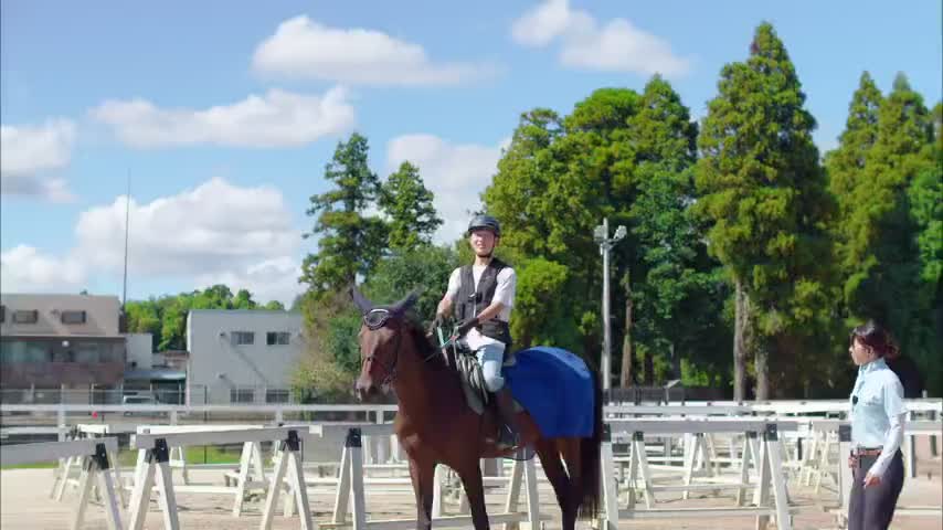 乗馬クラブ クレイン栃木 - 野木町の乗馬・スポーツクラブ｜栃ナビ！