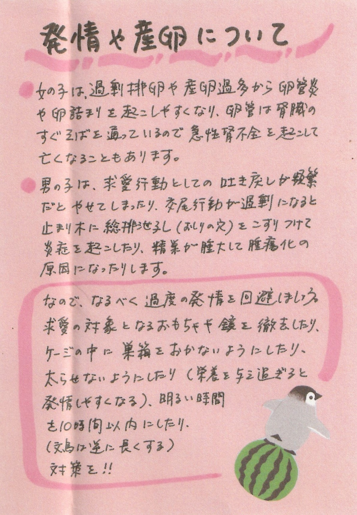 そもそも排卵ってなに？選ばれし卵子が飛び出すって何事？【自分の体を知ろう！プレコンセプションケア】 |  不妊治療・妊活のクリニック探し・情報収集ならあかほし（赤ちゃんが欲しい）