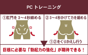 粗チンが5㎝！？ちんこを大きくする巨根トレーニング方法を解説 | 風俗部