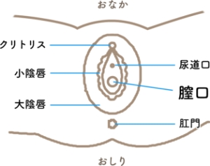 初体験は何を準備する？ セックスのやり方・楽しみ方も解説│医師監修 ｜ iro iro