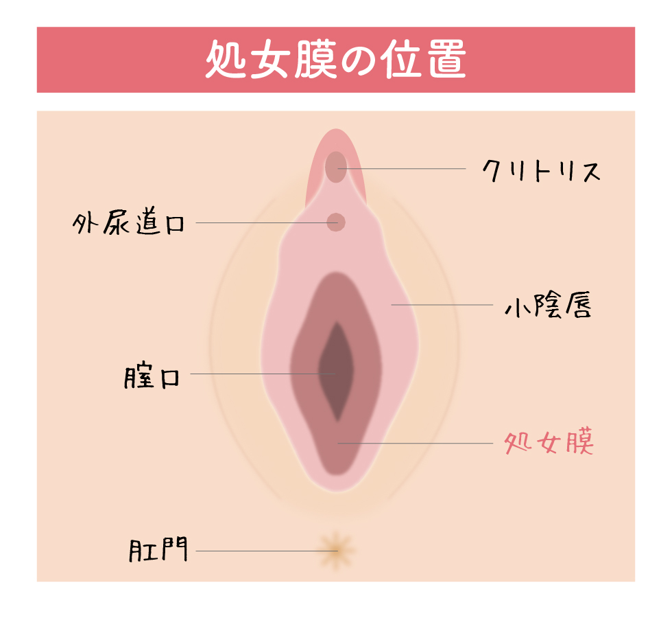 Gスポットはどこにある？ない人もいる？ 見つけ方・開発方法を紹介 | 医師監修 ｜