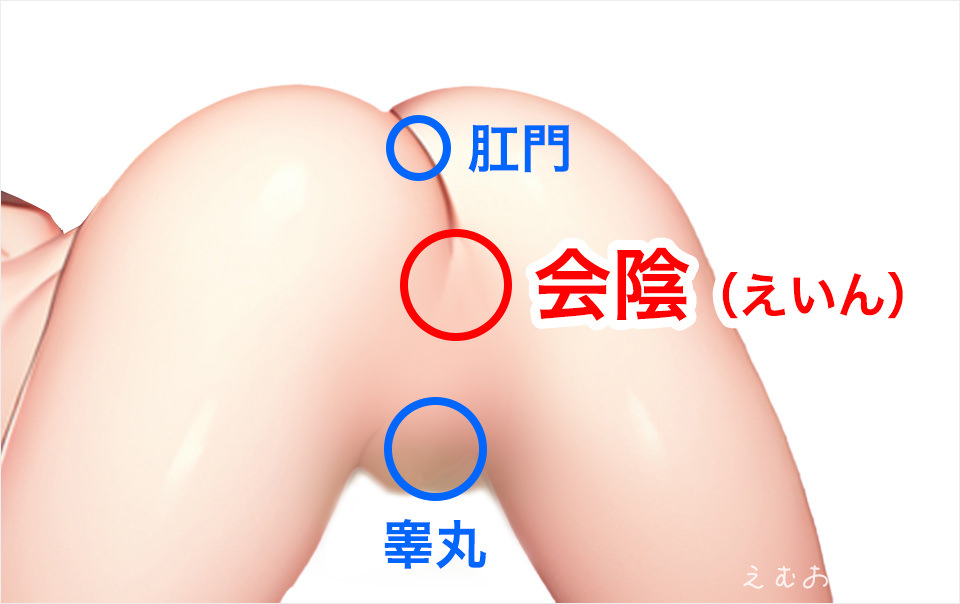 前立腺はどこにあるのか | アネロスジャパン