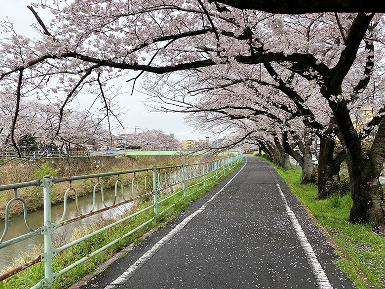 広島セカンドクラッチ 周辺の駐車場・コインパーキング一覧マップ