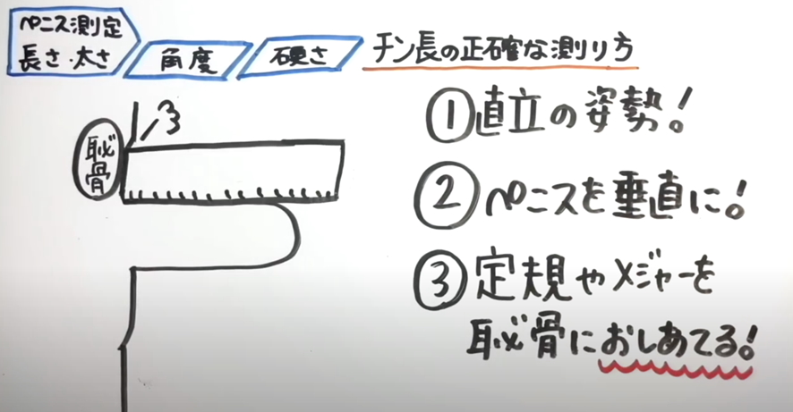 短小包茎とは！短小は何センチから？日本人の平均サイズや治療法 - アトムクリニック