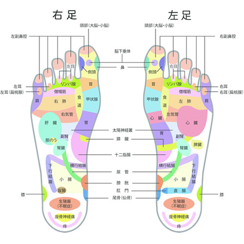 楽天市場】【当日発送】 リフレ 大人用紙おむつ 尿とりパッド 介護