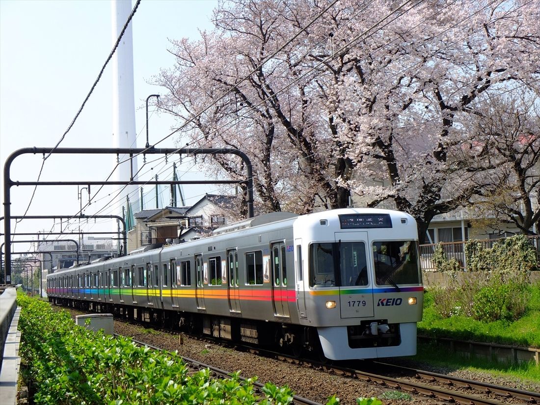 京王】1000系1779F(レインボーラッピング) へ「井の頭線 急行運転開始50周年」ヘッドマークを取り付け開始