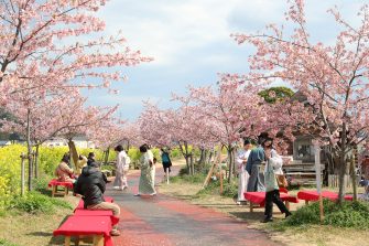 ６月22日(土)『延岡蚤の市』開催！ | 延岡市駅前複合施設 エンクロス |