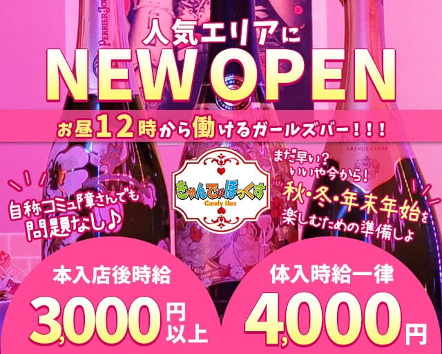 勝田台で可愛い女の子がいるガールズバー3選 - ガールズバーステーション