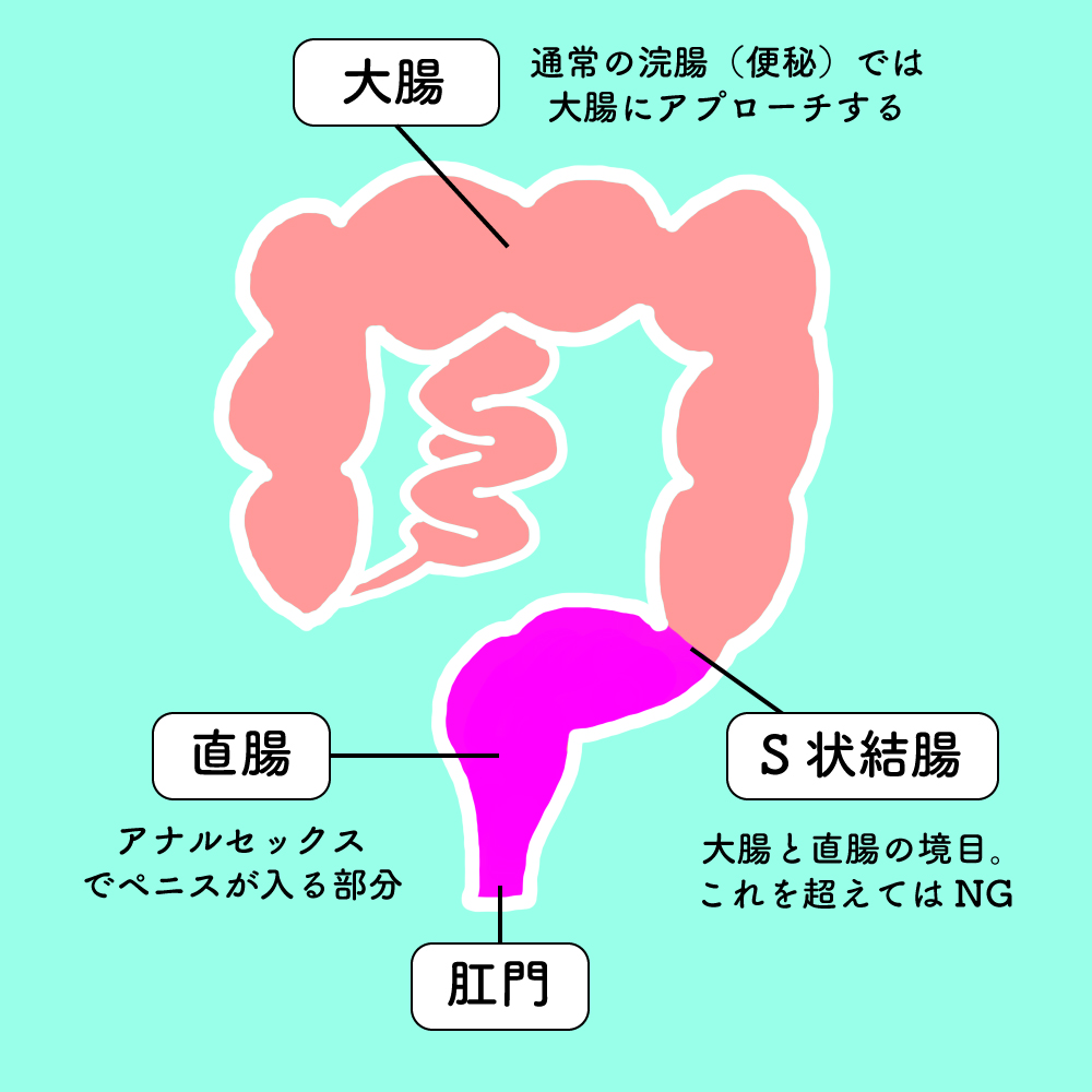 アナルの最強性感帯・S字結腸を開発してS字イキする方法 | シンデレラグループ公式サイト