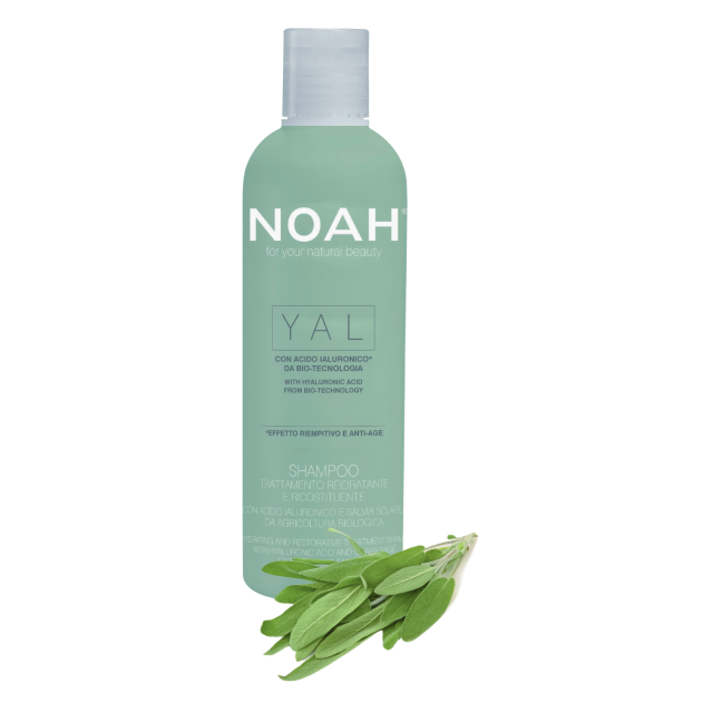YAL Hydrating And Restorative Treatment Shampoo Atkuriamasis drėkinantis šampūnas su hialurono rūgštimi ir šalaviju, 250 ml